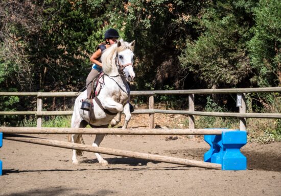 Séance Pégase au Dramont