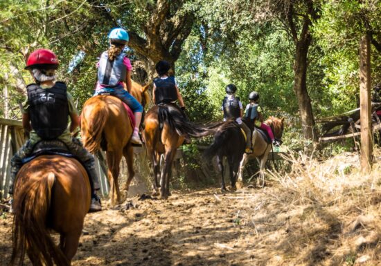 Séance Pégase au Dramont