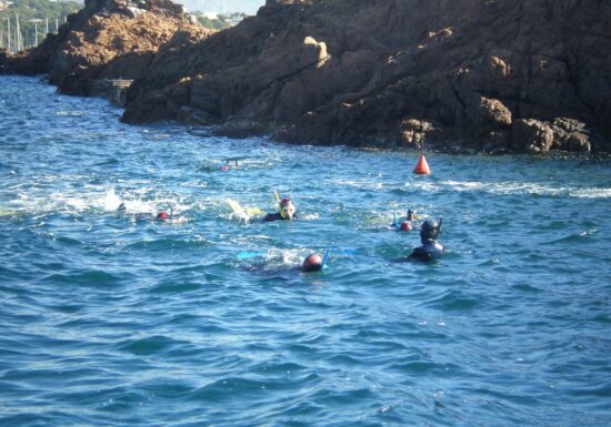 Randonnée palmée – Baptême de plongée