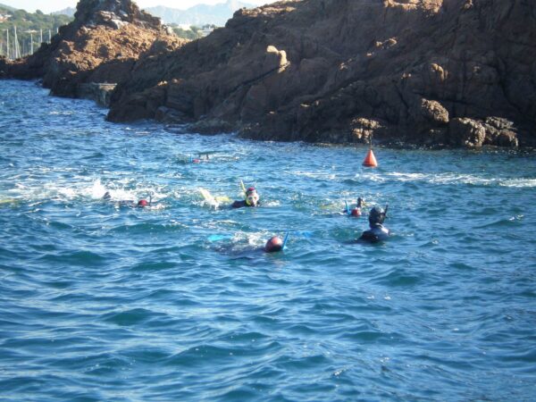 Randonnée palmée – Baptême de plongée