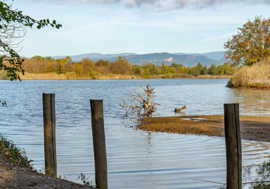 Randonnée : Les Étangs de Villepey