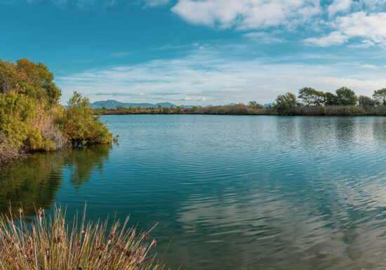 Randonnée : Les Étangs de Villepey