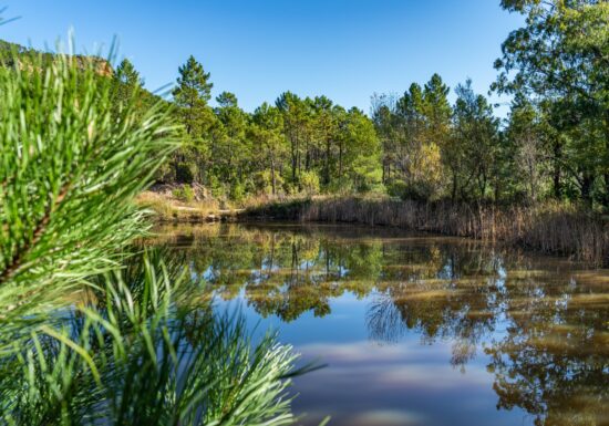 Randonnée : Circuit des 3 lacs