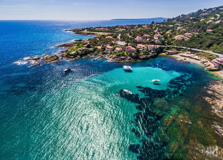 Association Pêcheurs et Plaisanciers Azuréens