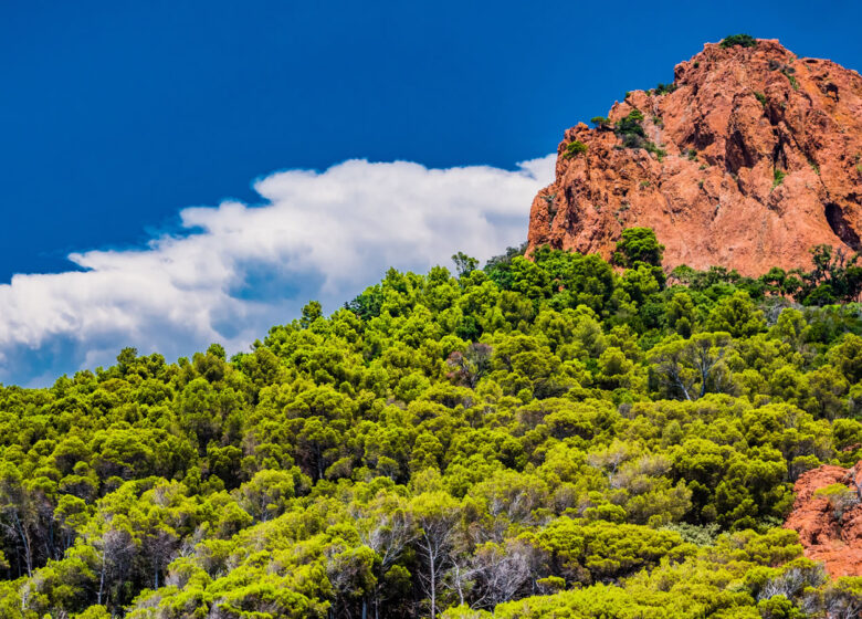 Cap du Dramont
