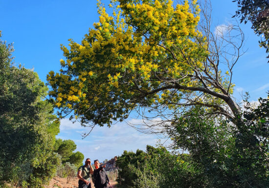 Rallye Aventure « Le Trésor du Sémaphore » avec Estérel Aventures