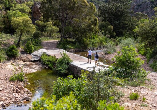 Randonnée : Ravin de Malinfernet