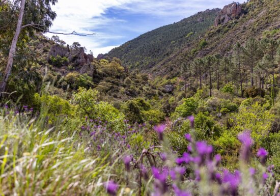 Randonnée : Ravin de Malinfernet