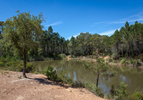 Circuit VTT : Le Baou Rouge