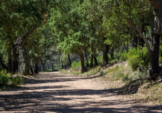 Circuit VTT : Le Baou Rouge