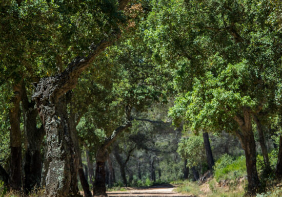 Randonnée : Boucle du Défens