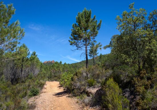 Randonnée : Le Ronflon