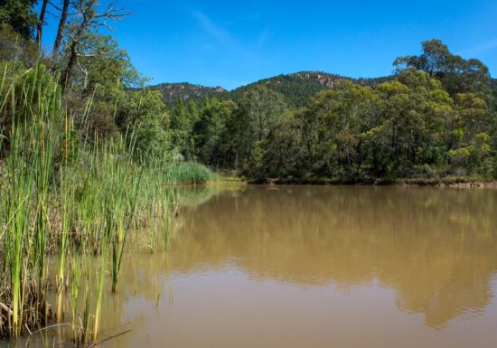 Randonnée : Le Ronflon