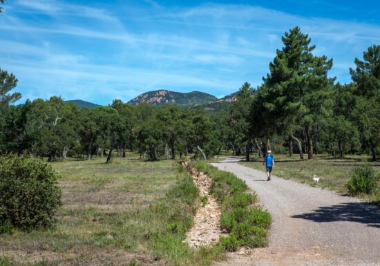 Circuit VTT : Boucle du défens