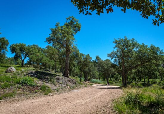 Circuit VTT : Boucle du défens